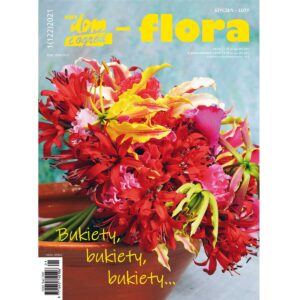 Styczeń - luty 2021
