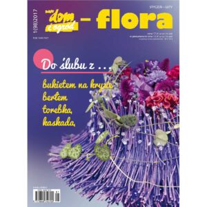 Styczeń - luty 2017